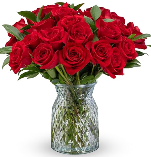 Benchmark Bouquets - 24 Stem Premium Red Roses (Glass Vase Included) - Fresh Flowers for Delivery - Gift for Graduation, Birthday, Anniversary, Sympathy, Get Well, Congratulations