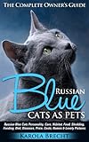 Russian Blue Cats As Pets English Edition