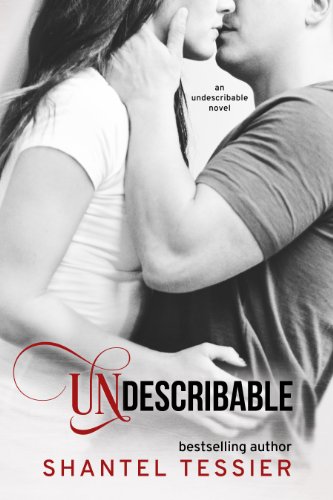 Undescribable book cover