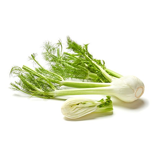 Organic Fennel 1 Each