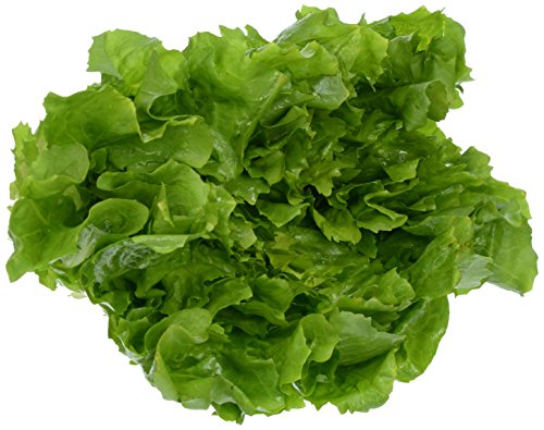 Organic Greens Escarole