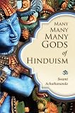 Many Many Many Gods Of Hinduism Culture Concepts Controversies