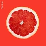 Saves The Day (2013)