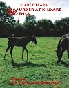 Murder At Kildare Mensa (Mensa Mystery Series)