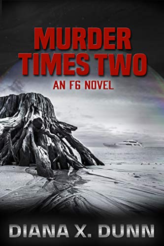 Murder Times Two book cover