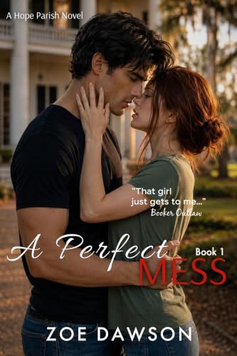 A Perfect Mess book cover