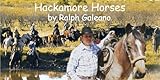 Hackamore Horses A Cowboy Chatter Article Cowboy Chatter Articles English Edition