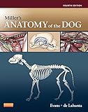 Millers Anatomy Of The Dog Ebook