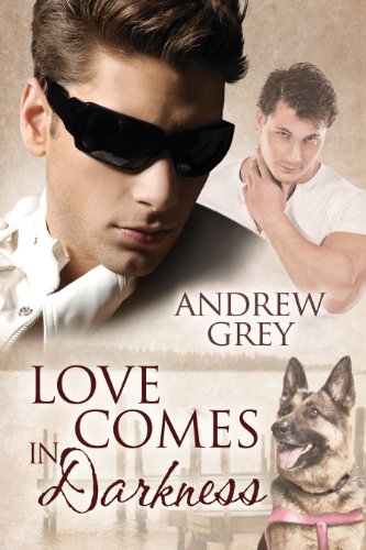 Love Comes in Darkness book cover