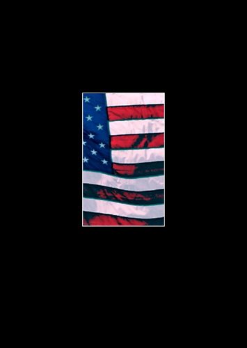 Dark Flag book cover
