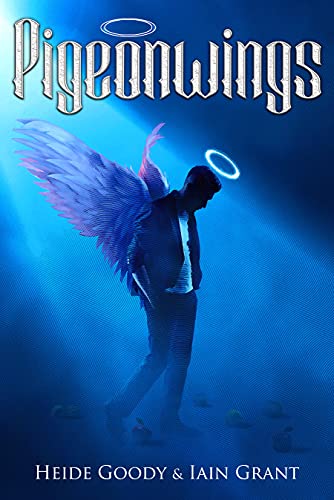 Pigeonwings book cover