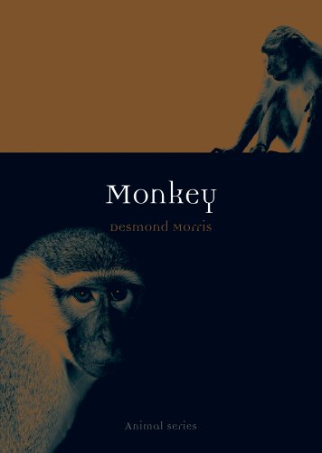Monkey (By: Desmond Morris) cover
