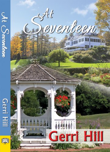At Seventeen book cover