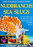 Nudibranchs Sea Slugs Kids Book About Colorful Marine Life Fun Animal Picture Book For Kids With Interesting Facts Wildlife Photos Gods Amazing Creation Series 2 English Edition