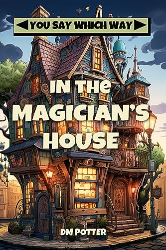 In the Magician's House book cover