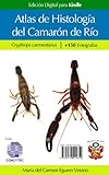 Atlas De Histologa Del Camarn De Ro Spanish Edition