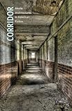 Corridor Media Architectures In American Fiction English Edition