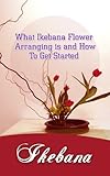 Ikebana What Ikebana Flower Arranging Is And How To Get Started English Edition