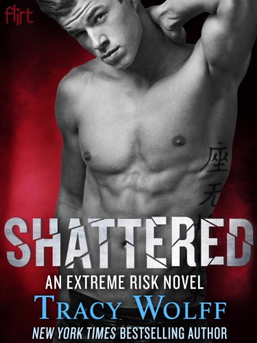 Shattered book cover