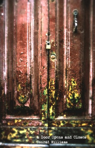 A Door Opens and Closes book cover