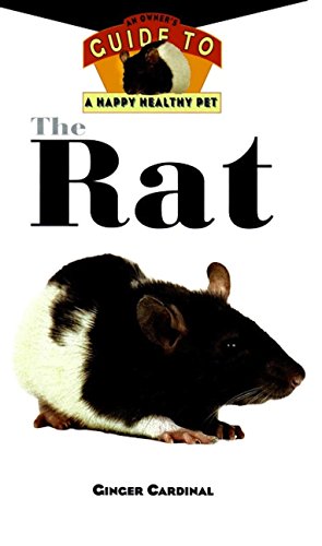 The Rat book cover