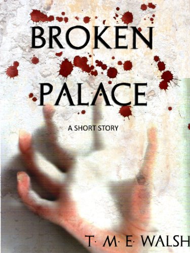 Broken Palace book cover