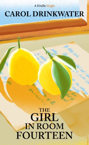The Girl in Room Fourteen book cover