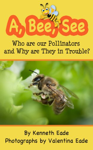 A, Bee, See book cover