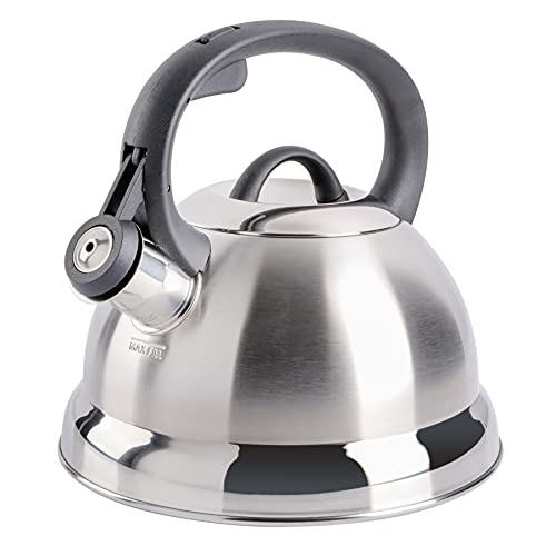 Mr. Coffee Flintshire Stainless Steel Whistling Tea Kettle The classic half-dome