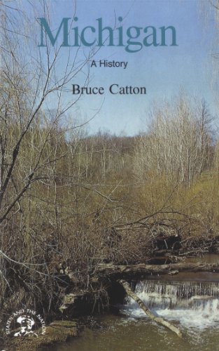 Michigan book cover