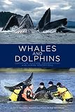 Whales And Dolphins Cognition Culture Conservation And Human Perceptions Earthscan Oceans English Edition