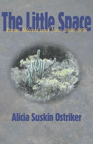 The Little Space (By: Alicia Suskin Ostriker) cover