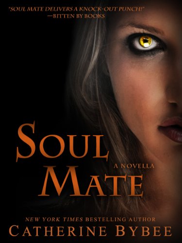 Soul Mate book cover