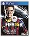 FIFA 14 ワールドクラス サッカー版