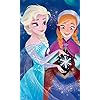 エルサ (Queen Elsa of Arendelle),アナ (Princess Anna of Arendelle) ディズニー - エルサ (Queen Elsa of Arendelle),アナ (Princess Anna of Arendelle) FVGA(480×800)壁紙 301664