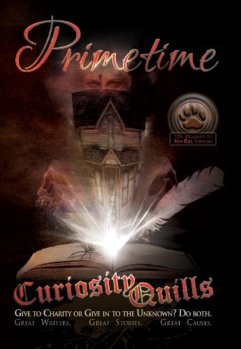 Primetime book cover