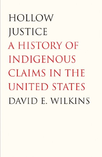 Hollow Justice book cover