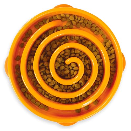 Outward Hound Fun Feeder Slo Bowl (Large, 4-Cup)