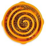 Outward Hound Fun Feeder Slow Bowl