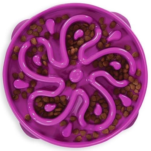 Outward Hound Fun Feeder Slo Bowl Large Slow Feeder Dog Bowl 4 Cups Purple