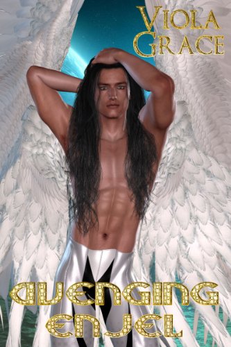 Avenging Enjel book cover