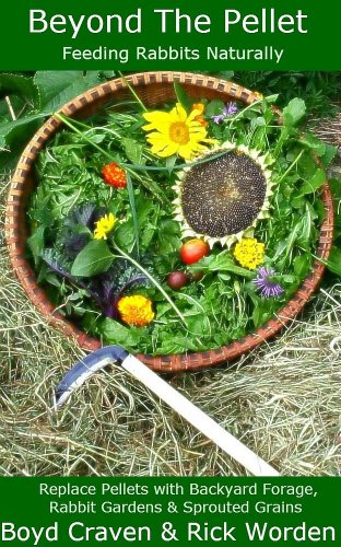 Beyond The Pellet cover