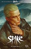 Buffy Spike Un Sombre Refuge Buffy Contre Les Vampires