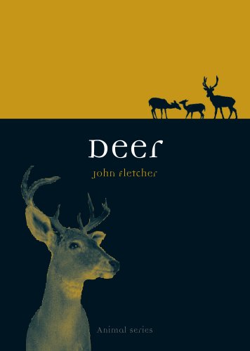 Deer book cover