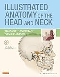 Illustrated Anatomy Of The Head And Neck Ebook English Edition