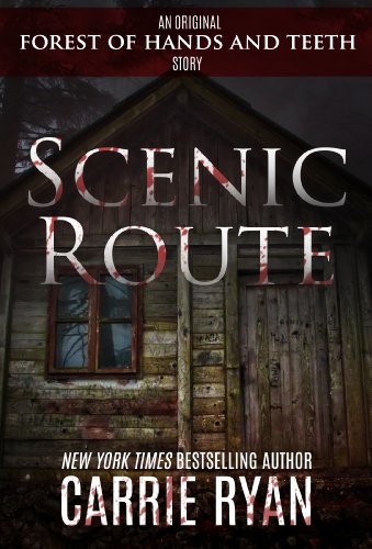 Scenic Route book cover
