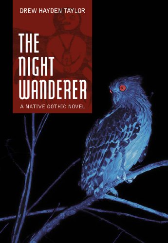 The Night Wanderer book cover