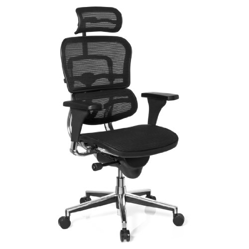 hjh OFFICE 652980 Chefsessel ERGOHUMAN Base ONE Netzstoff Schwarz hochwertiger Bürodrehstuhl mit Vollausstattung