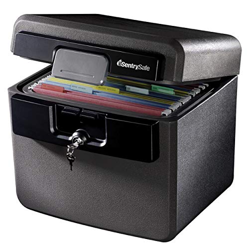 SentrySafe Fireproof Waterproof File Folder and Document Safe
