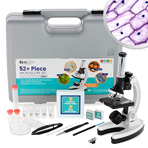AmScope Beginner Kit A very good first microscope that offers everything young